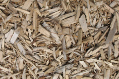 biomass boilers Medlam